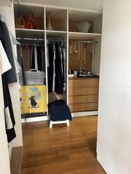 Shamrock Park (D10), Detached #453968711